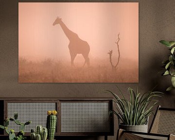 Silhouet van een giraf in de ochtendmist