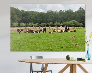 eine Herde Stofffeldkühe mit Wald im Hintergrund