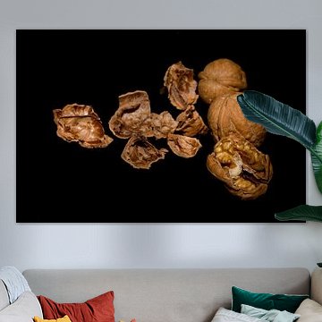de walnoot walnut