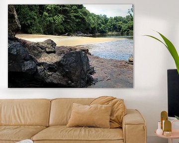 Beach near the Sir Walter Raleigh Falls in Suriname by rene marcel originals