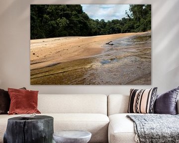 Sipaliwini River at the Sir Walter Raleigh Falls Suriname by rene marcel originals