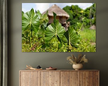 Vegetation in einem Heimatdorf in Suriname von rene marcel originals