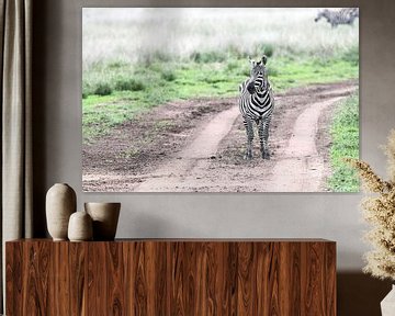 Zebra von Robert Styppa