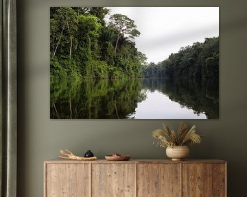 Rivier in het Amazonia regenwoud  van Suriname (1) van rene marcel originals
