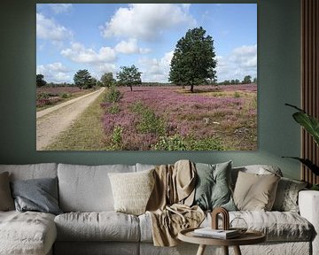 Wunderschön! Die Heideblüte 2019 Nr. 2