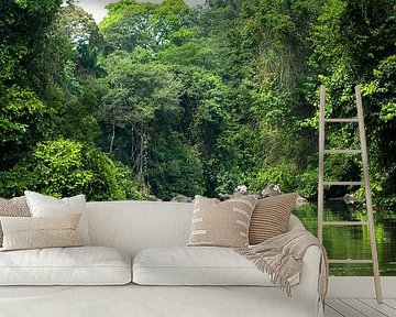 Creek with soela in Suriname by rene marcel originals