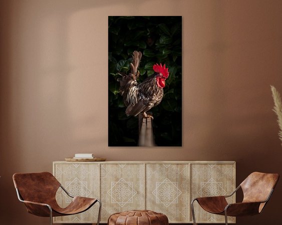 Aperçu de la chambre