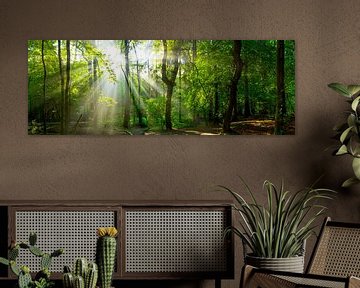 Wald Panorama mit Sonnenstrahlen von Günter Albers