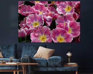 roze tulpen met geel hart close up van Carmela Cellamare