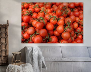 tomaten trostomaat tomaat frans versteden fotografie tilburg van Frans Versteden