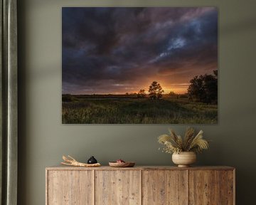 Quand la nuit tombe dans le Biesbosch sur Marcel van Balkom