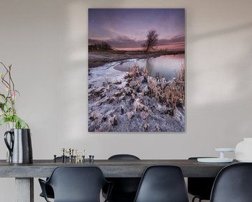 Biesbosch winterlandschap van Marcel van Balkom