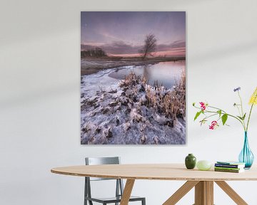 Paysage d'hiver de Biesbosch sur Marcel van Balkom