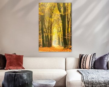 Pad door een goudkleurig herfstbos tijdens een mooie zonnige herfstdag van Sjoerd van der Wal Fotografie