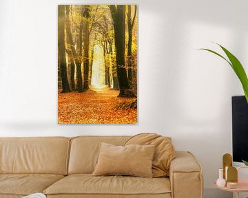 Path through a gold colored fall forest during a beautiful sunny autumn day by Sjoerd van der Wal Photography