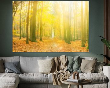 Sentier à travers une forêt d'automne dorée par une belle journée d'automne ensoleillée. sur Sjoerd van der Wal Photographie