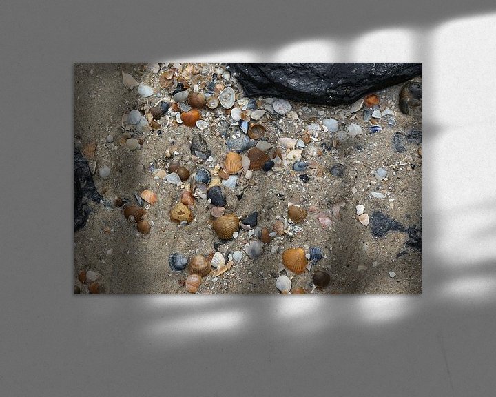 Sfeerimpressie: schelpen op het strand van westkapelle in zeeland van Frans Versteden