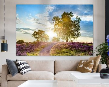 Bloeiende heideplanten in het heidelandschap bij zonsopkomst in de zomer van Sjoerd van der Wal Fotografie