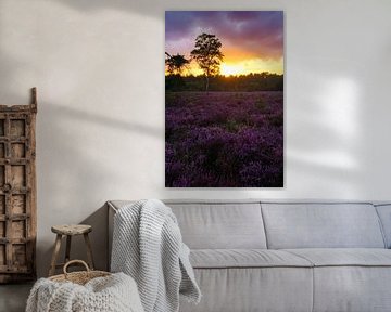 Sonnenuntergang auf der violetten Heide von Laura Drijfhout