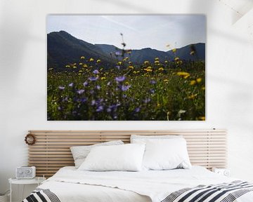 Flowers with mountains in the background by Steven Marinus