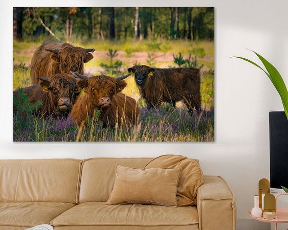 Aperçu de la chambre