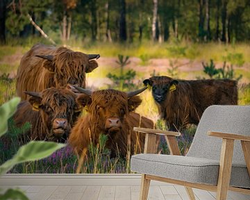 Hooglander familieshot van Laura Drijfhout