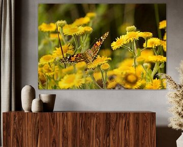 Schmetterling auf Sommerblumen essen von Arthur Scheltes