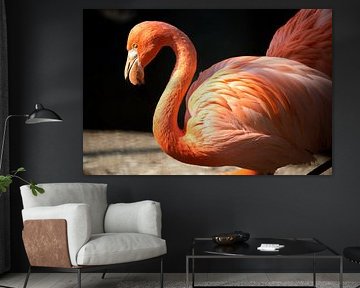 Flamingo van Marcel van Laar