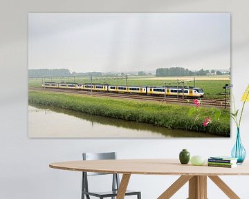 Nederlandse trein in een typisch Hollands polderlandschap van Arthur Scheltes