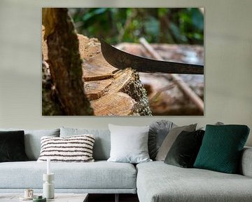 Machete spaltet das Holz eines tropischen Hartholzbaums von rene marcel originals