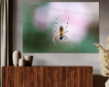 Spinne mit Beute von Tania Perneel