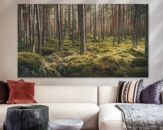 Aperçu de la chambre