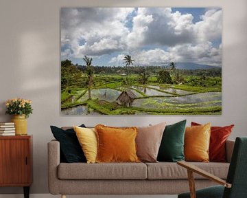 Bali rijstterrassen. De mooie en dramatische rijstvelden. Een echt inspirerend landschap.