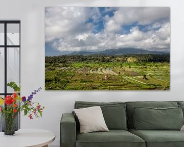 Bali, Indonesia. Rice fields, coconut palms and huts in the background by Tjeerd Kruse