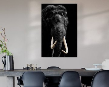 African Elephant, portrait in black and white by Gert Hilbink