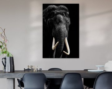 Afrikaanse Olifant, portret in zwart/wit