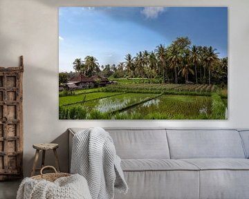 beautiful scenery overlooking rice terraces and the house of a farmer by Tjeerd Kruse