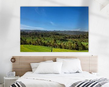 Panorama of beautiful terraced rice field in Bali Indonesia by Tjeerd Kruse