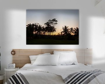 Kokospalmen en prachtige oranje zonsondergang creëren een rustgevend avondlandschap