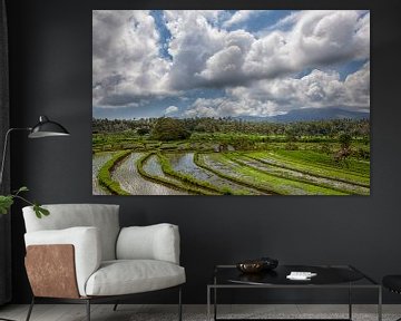 Panorama von Reisterrassen in den Bergen. Bali. Indonesien von Tjeerd Kruse