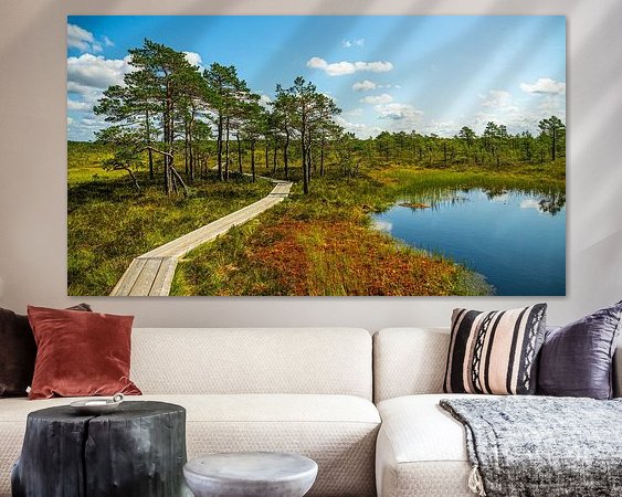 Aperçu de la chambre