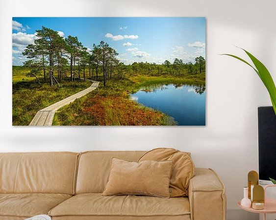 Aperçu de la chambre