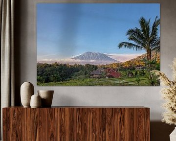 Rice terraces with the sacred mountain Agung in the background, Bali, Indonesia by Tjeerd Kruse