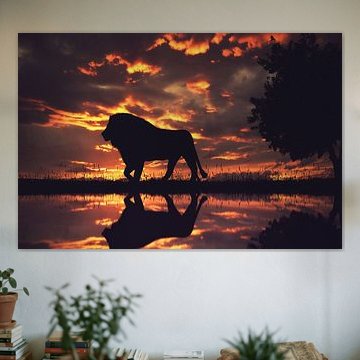 La silhouette d'un lion au coucher du soleil sur Bert Hooijer