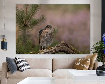 Sparrow by Esther Bakker-van Aalderen