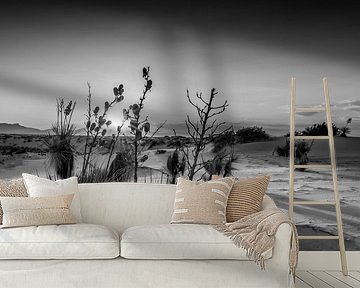 White Sands Sunset | Monochrome