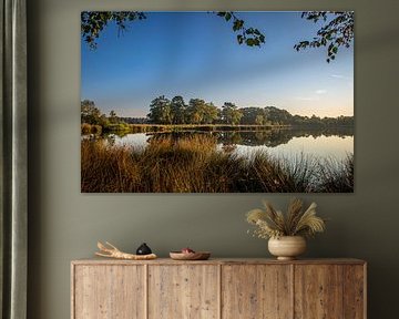 A glimpse into the nature of Westerwolde