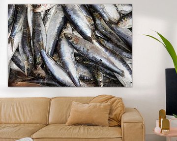 Fresh sardines by Rick Van der Poorten