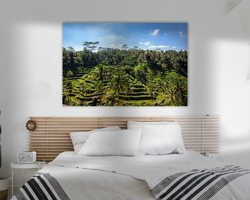 Tegallalang rijstterrassen in de omgeving van Ubud op Bali, Indonesië