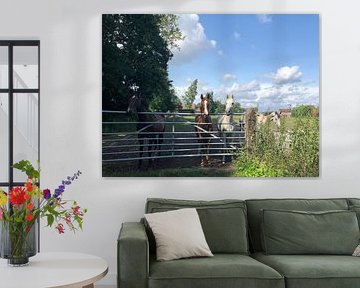 Horses